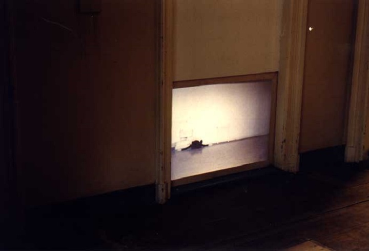 slide in doorway